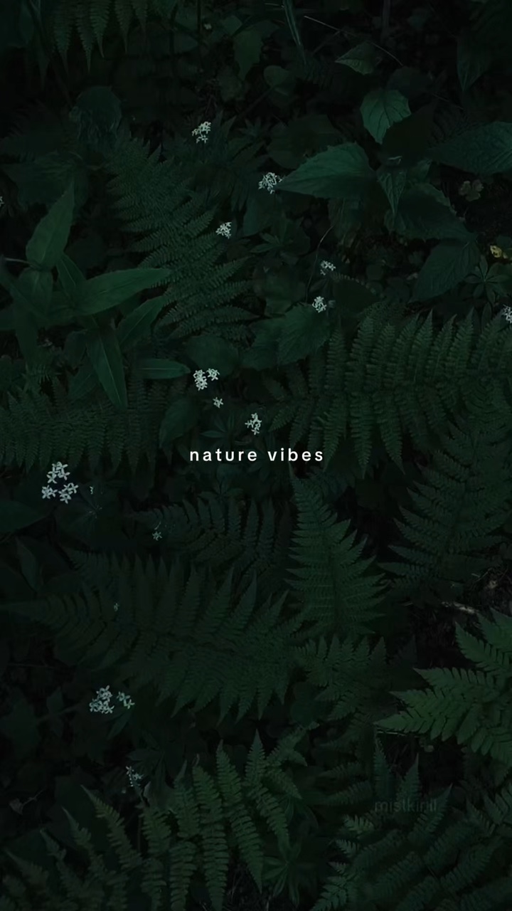 Ambiance de la nature