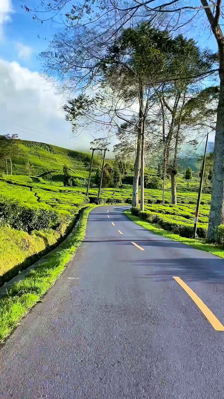 8 Video-Roadtrip