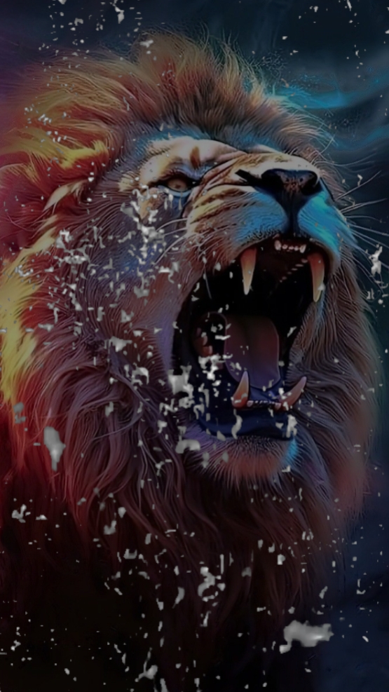 Leão vs Tigre 