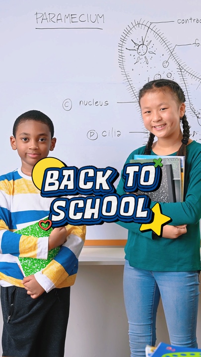 De Volta À Escola
