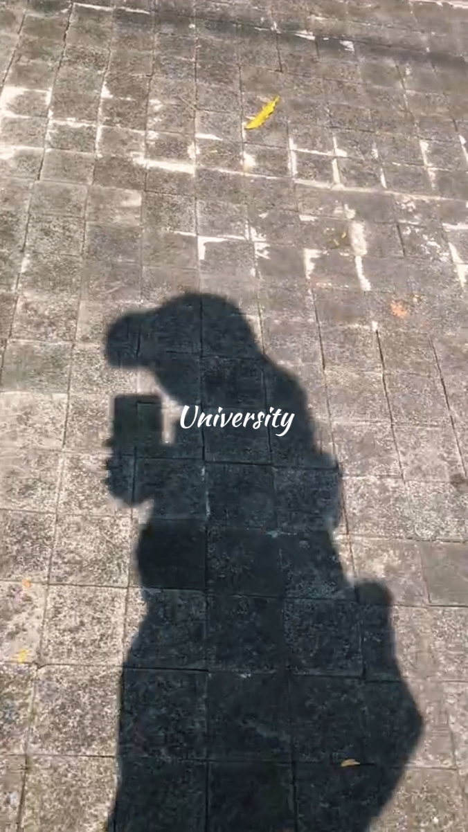 Universidade