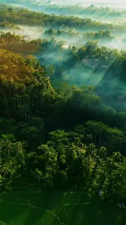nature vibes