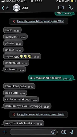 ss chat whatsapp