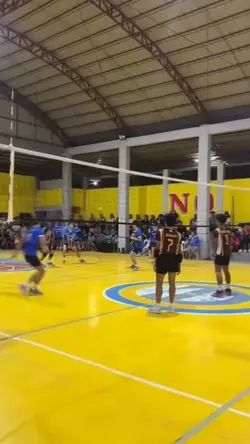 Volleyball Slowmo 