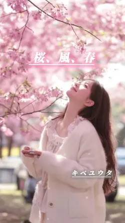 桜風春