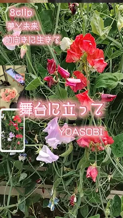 舞台に立って YOASOBI