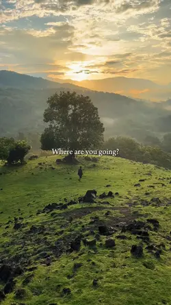 where are you going?