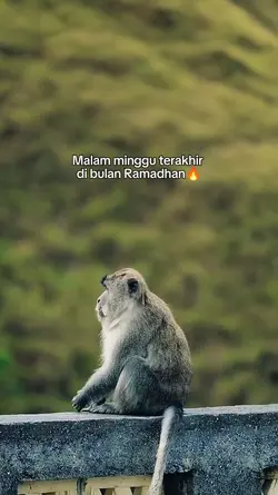 Malam minggu terakhi