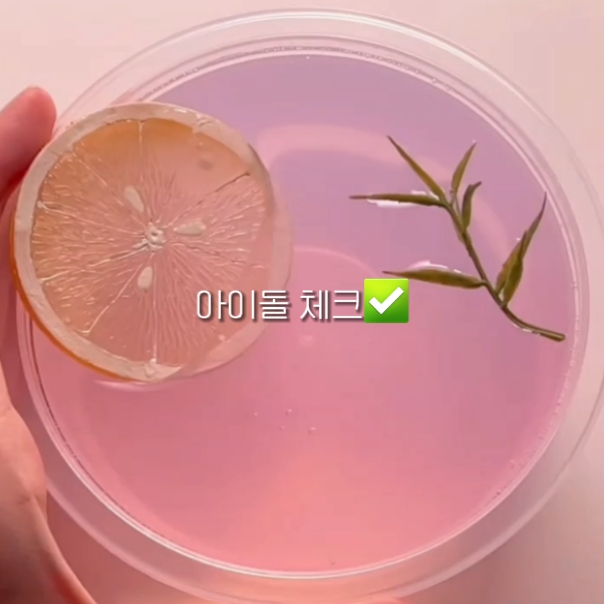 아이돌 체크