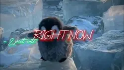 2 ẢNH NGANG CHILL