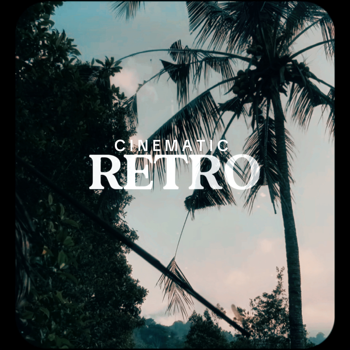 Cinematic Retro 1:1