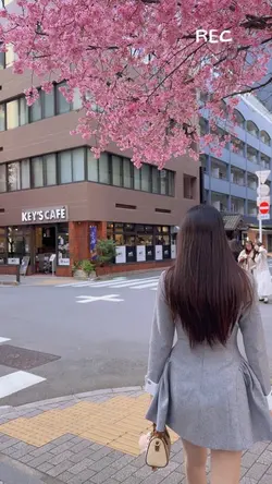 Mini vlog