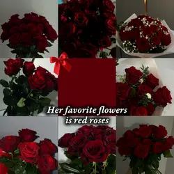 RED ROSES 