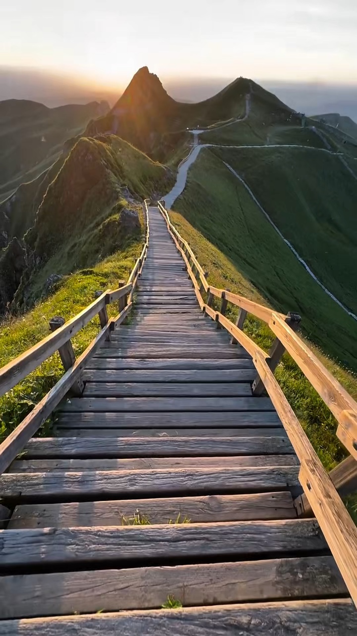 4 clips de historia de la naturaleza