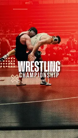 Wrestling Sports