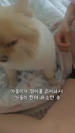 으이그 엄마한테 왜 그랬어