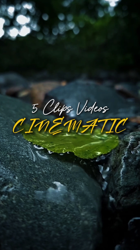 CINEMATIC 5 VIDEOS