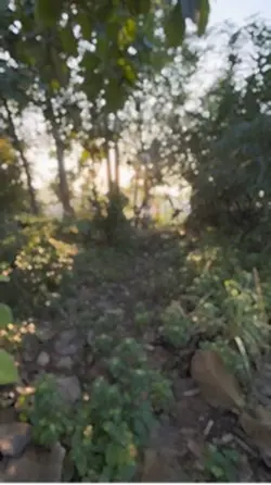 Slowmo aestetik