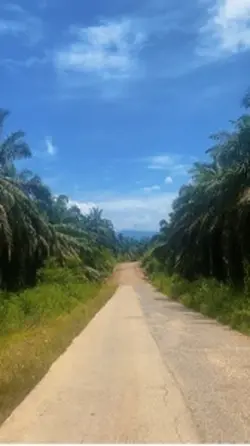 Minivlog ke ladang 