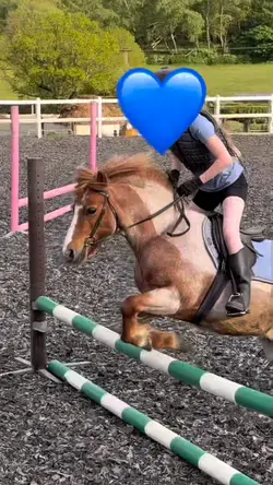Horse slow mo trend 