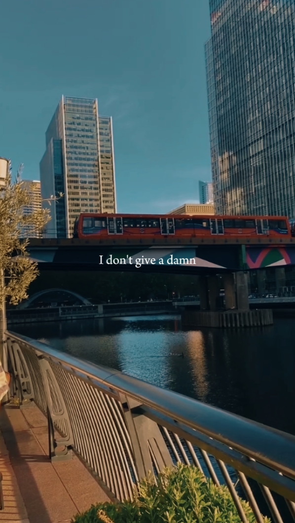 I don't give a damn