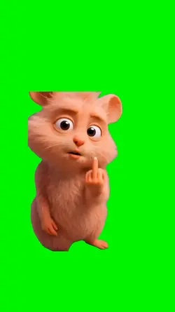 x hamster
