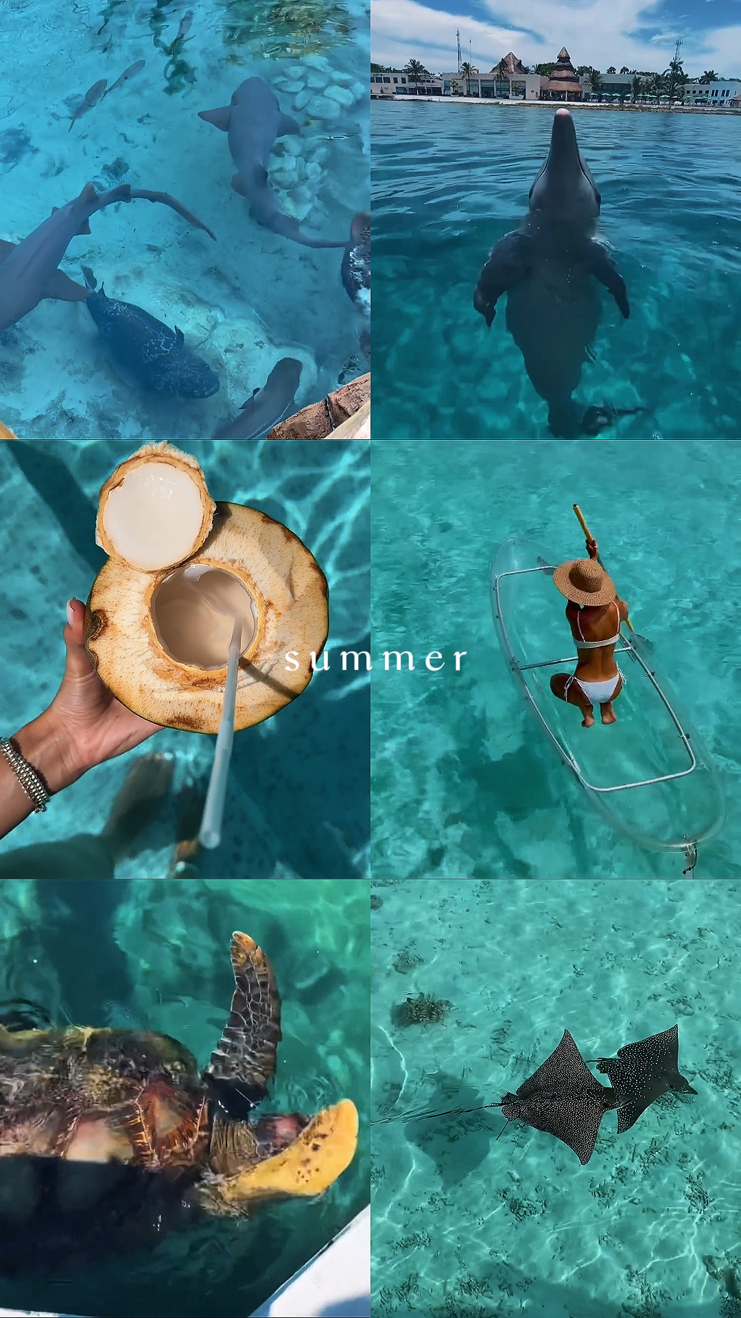 Summer 