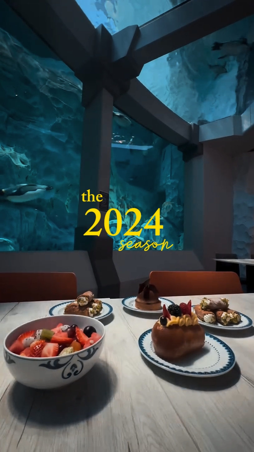 the 2024 season