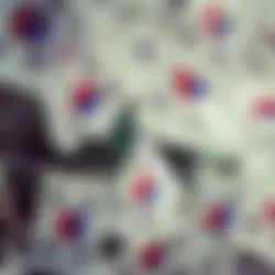 8.15 | 광복절