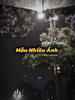 Mẫu Nhiều Ảnh 