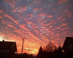 Visca barca💙❤️