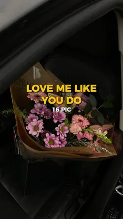 MẪU 16 PIC 