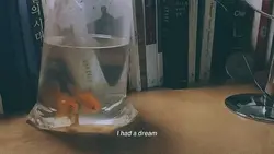 everything i wanted