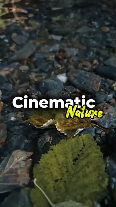kalikasan ng cinematic 