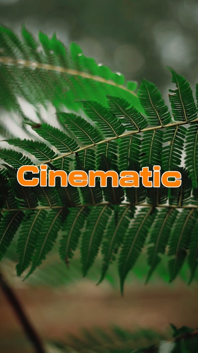 sinematik 5 video