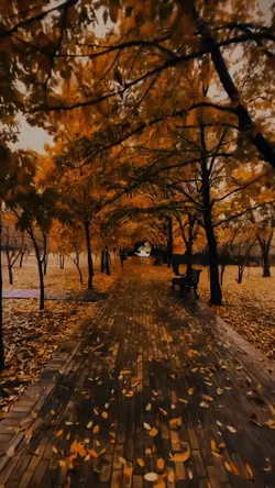  بغلمه تركيه