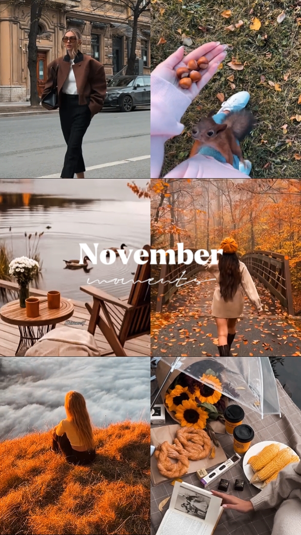Momentos de noviembre