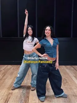 FANCAM