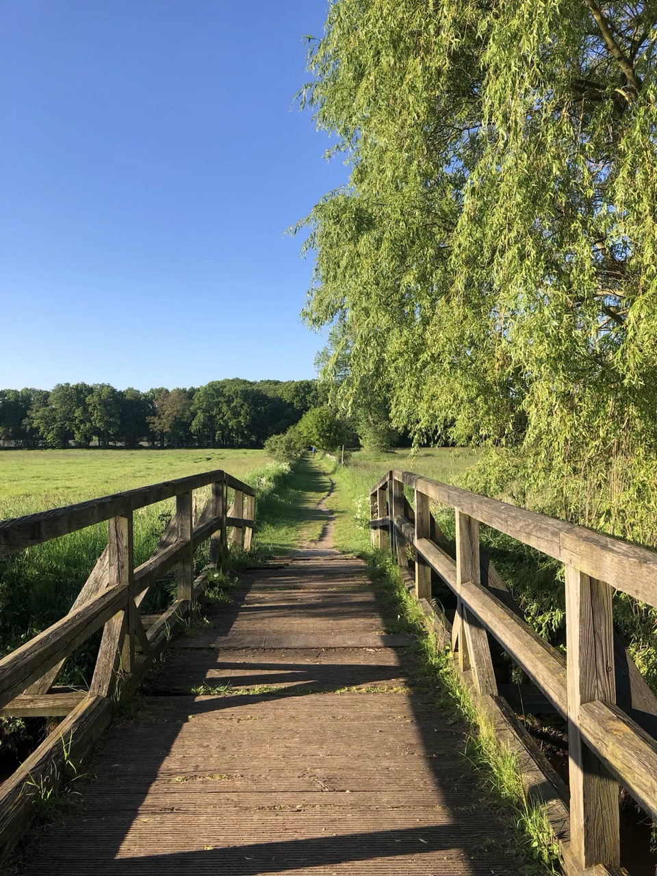 Smile and laugh ☝️❤️