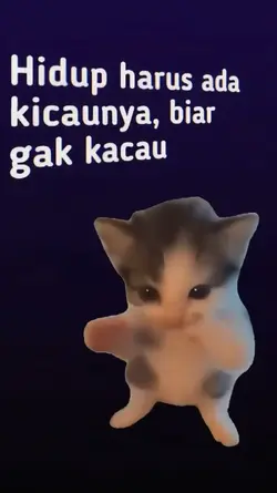 kicau mania