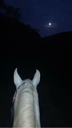 Águas da correnteza 