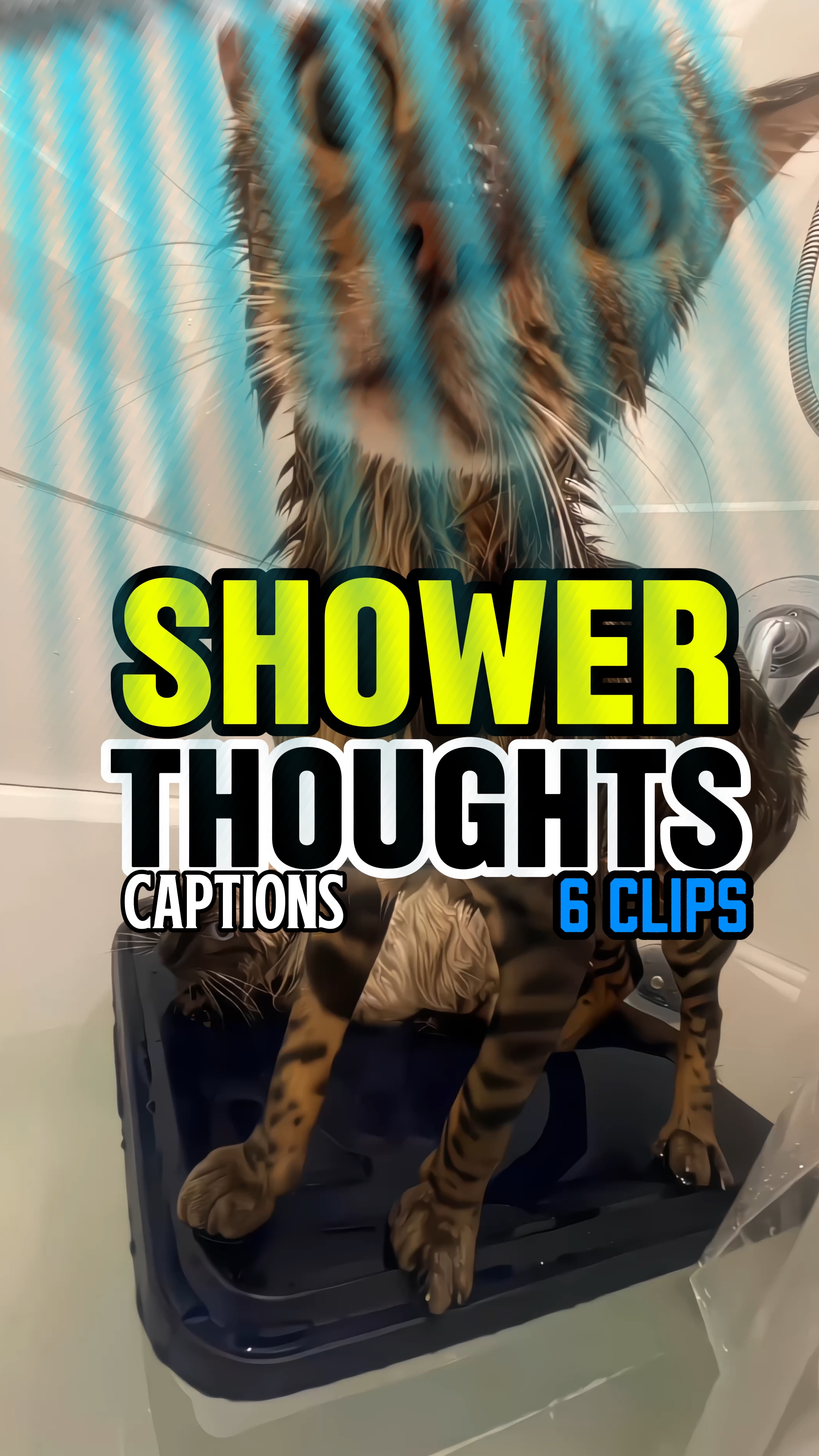 Shower thoughts 🚿  😺