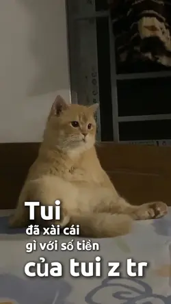 Tui đã xài cái gì