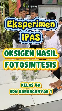 Eksperimen IPAS