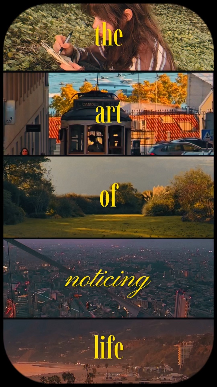 art of noticing life