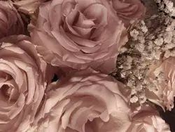 і'ᥣᥣ ᑲᥱ 𝗍һᥱ sһᥲძ᥆ᥕ..