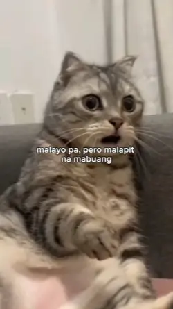 malayo pa, pero mala