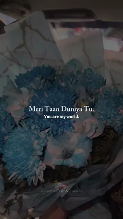 Duniya π€