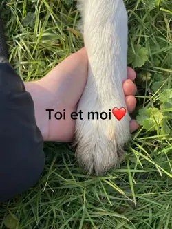 Toi et moi ❤️