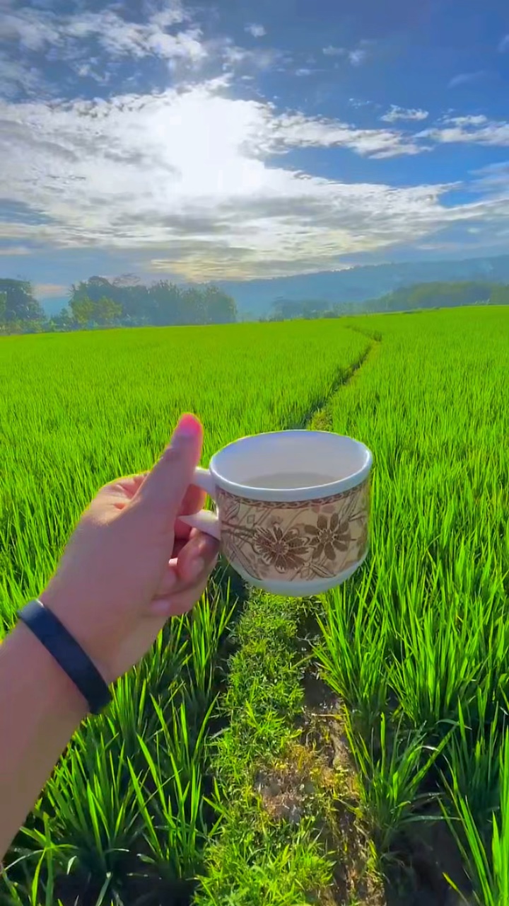 2 filtro de vídeo HD